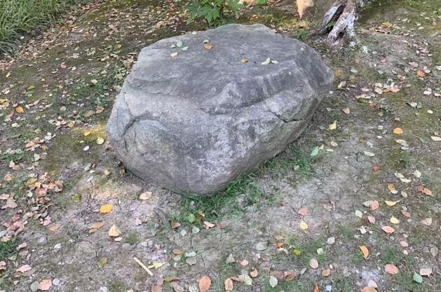 ǾĹЧǾĹЧͽ